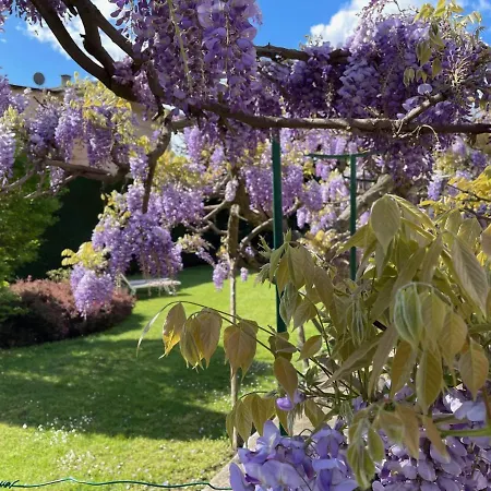 Dimora Fiorita Junior My Séjour à la campagne